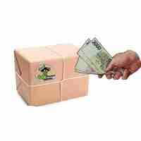 Payment upon receipt of goods - cash on delivery