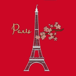 Modern T-shirt with short sleeves and embroidery with motie Eiffel tower