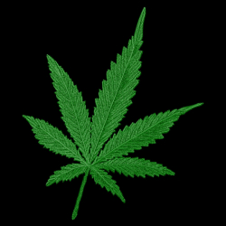 Marihuana - Prémiová unisex mikina s kapucí 