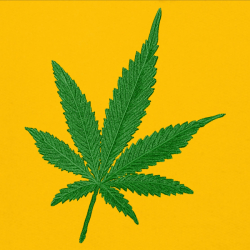 Marihuana - Prémiová unisex mikina s kapucí 