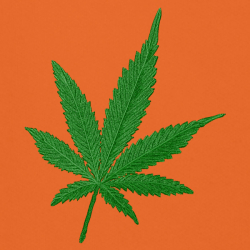 Marihuana - Prémiová unisex mikina s kapucí 