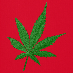 Marihuana - Prémiová unisex mikina s kapucí 